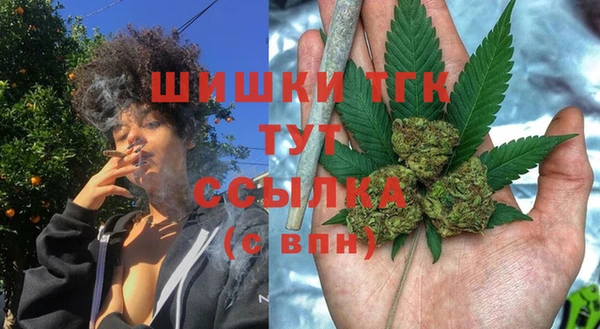 спайс Абаза