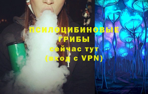 спайс Абаза