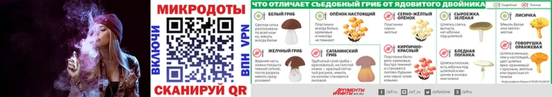 наркошоп  Шарыпово  Галлюциногенные грибы Psilocybine cubensis 